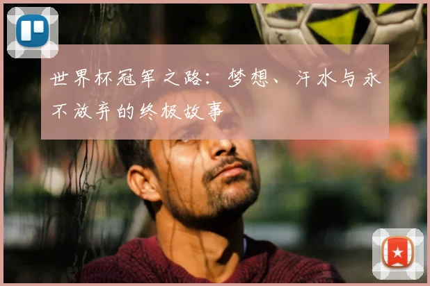 世界杯冠军之路:梦想、汗水与永不放弃的终极故事