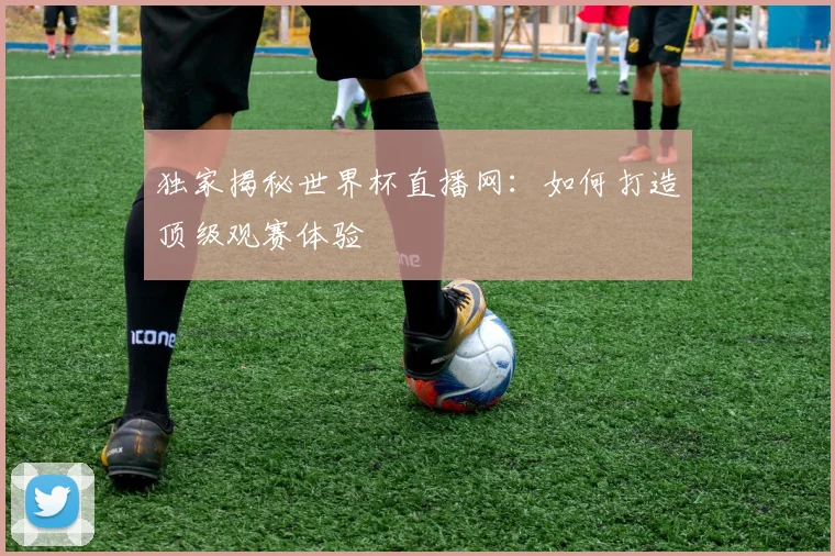 独家揭秘世界杯直播网：如何打造顶级观赛体验