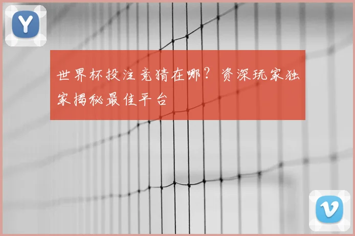 世界杯投注竞猜在哪？资深玩家独家揭秘最佳平台