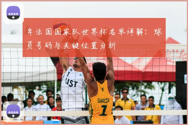 年法国国家队世界杯名单详解：球员号码与关键位置分析