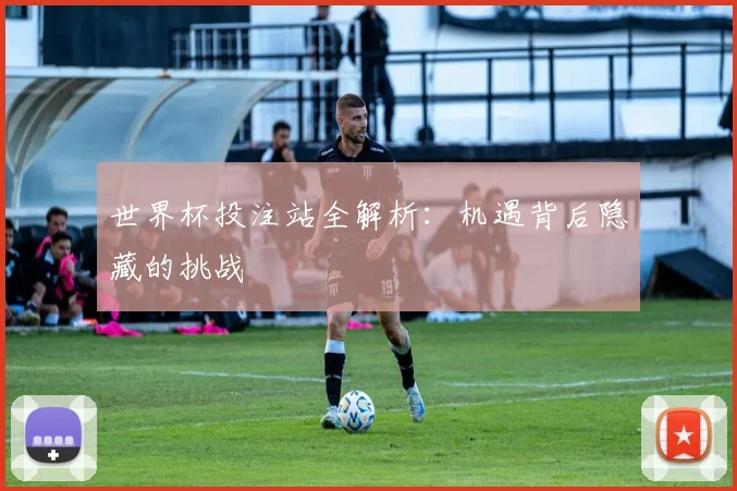 世界杯投注站全解析:机遇背后隐藏的挑战