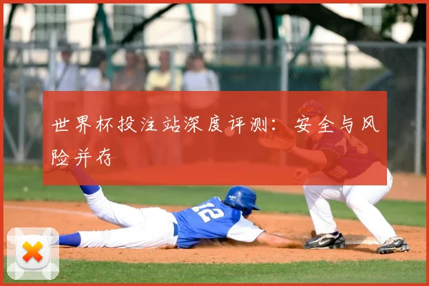 世界杯投注站深度评测：安全与风险并存