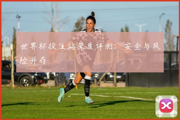 世界杯投注站深度评测：安全与风险并存