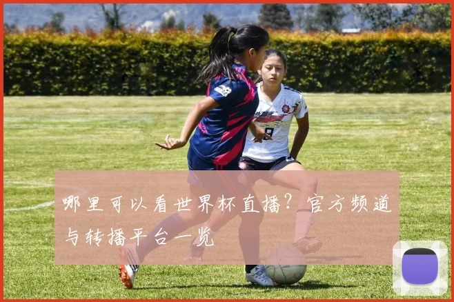 哪里可以看世界杯直播?官方频道与转播平台一览