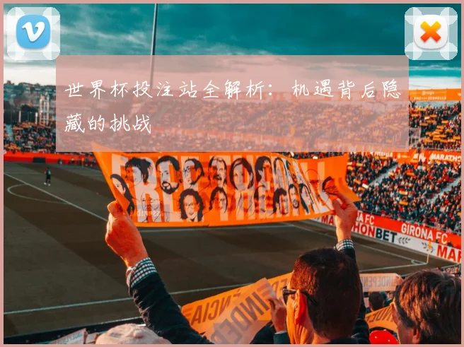 世界杯投注站全解析：机遇背后隐藏的挑战