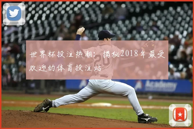 世界杯投注热潮：揭秘2018年最受欢迎的体育投注站