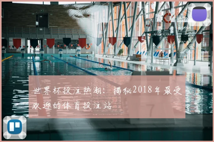 世界杯投注热潮：揭秘2018年最受欢迎的体育投注站