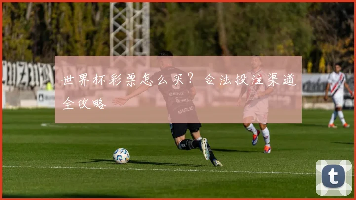 世界杯彩票怎么买?合法投注渠道全攻略